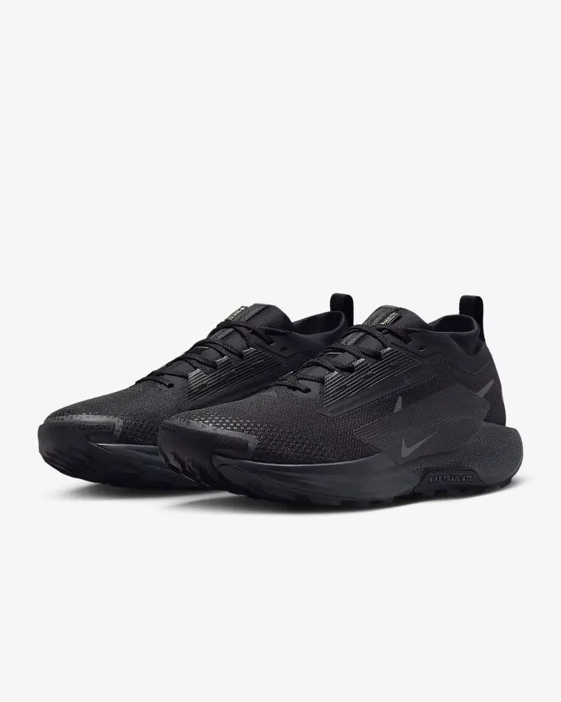 NIKEPEGASUSTRAIL5GTX (4).webp