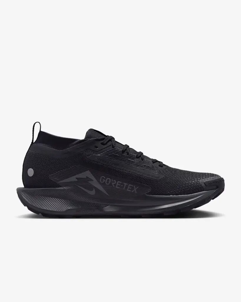 NIKEPEGASUSTRAIL5GTX (2).webp